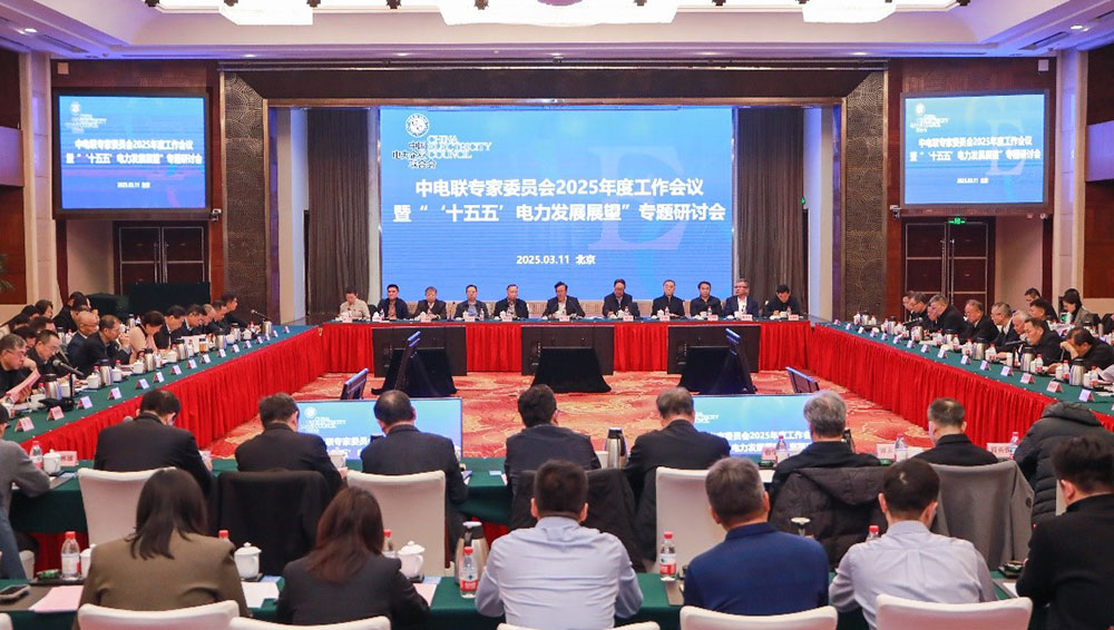 中电联召开专家委员会2025年度工作会议